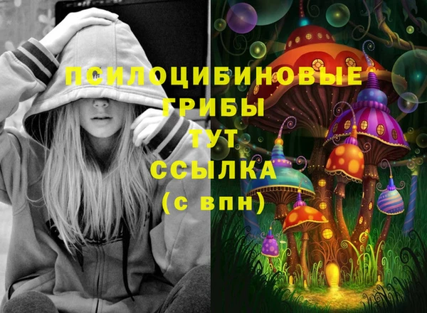Альфа ПВП Абаза