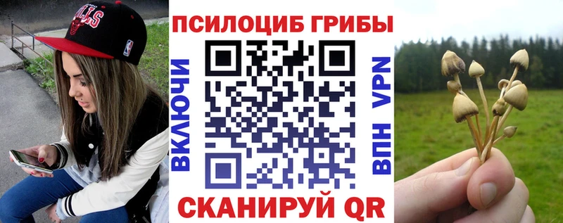Галлюциногенные грибы мухоморы наркотики Архангельск