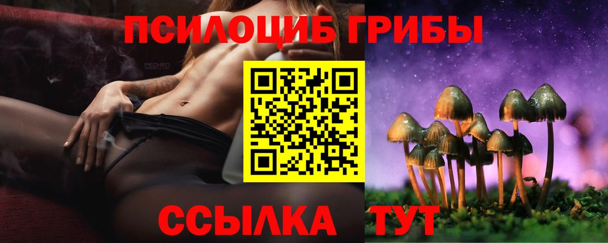 Псилоцибиновые грибы GOLDEN TEACHER  Вход с VPN  Галлюциногенные грибы ЛСД  Архангельск 