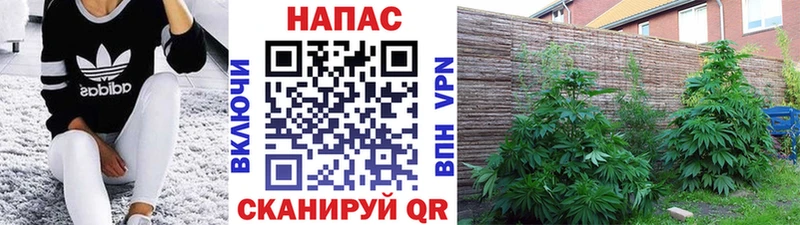 Бошки Шишки LSD WEED Архангельск